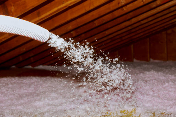 Best Insulation Maintenance and Repair in Salina, KS