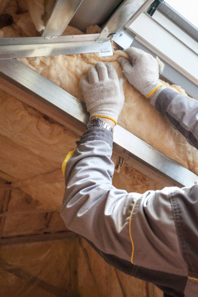Best Residential Insulation in Salina, KS